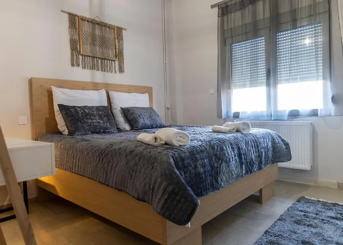 Simplerior House 特里卡拉