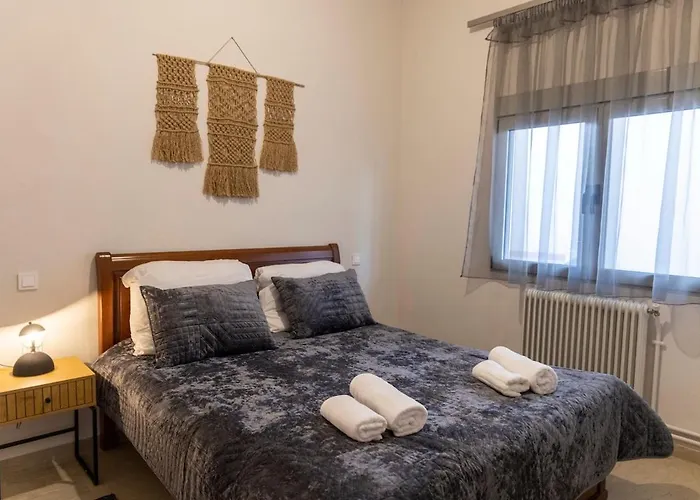 Simplerior House 特里卡拉